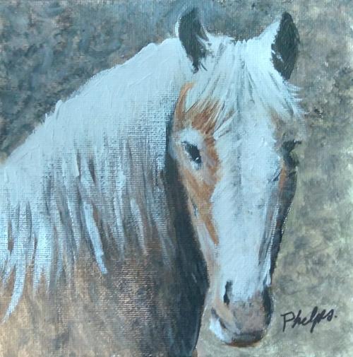 Horse -- BevPhelps