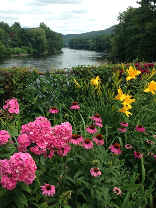 Bridge of Flowers - Mary Jo Hauri