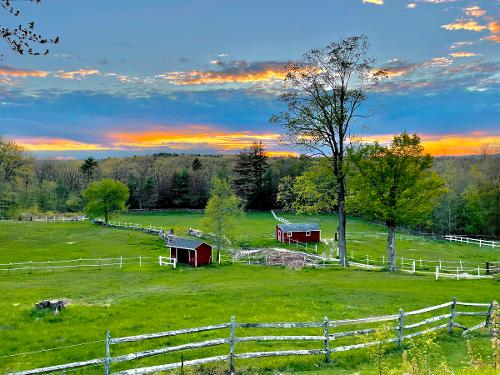 Sunset Farm -- Anne Colturi • 3rd Place