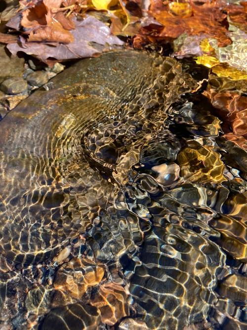 Spiral Ripple - Melanie Phillips - Honorable Mention