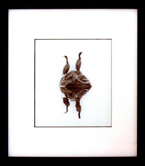 Untitled– Edmund Burke • 1st Place
