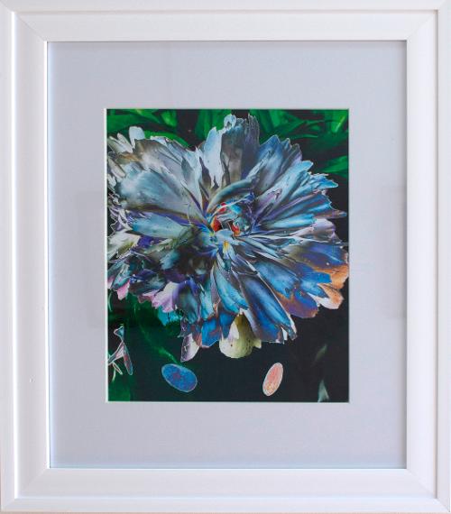 Magical Peony - Annie Colturi • Honorable Mention