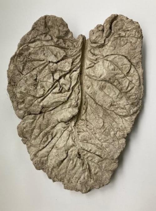 MJ Hauri - Rubarb Leaf #2