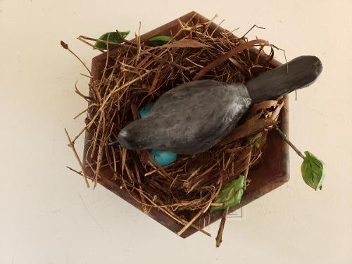 Cindy White - Catbird