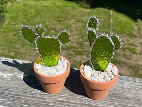 Sarah Alessandro Stained Glass Cactus