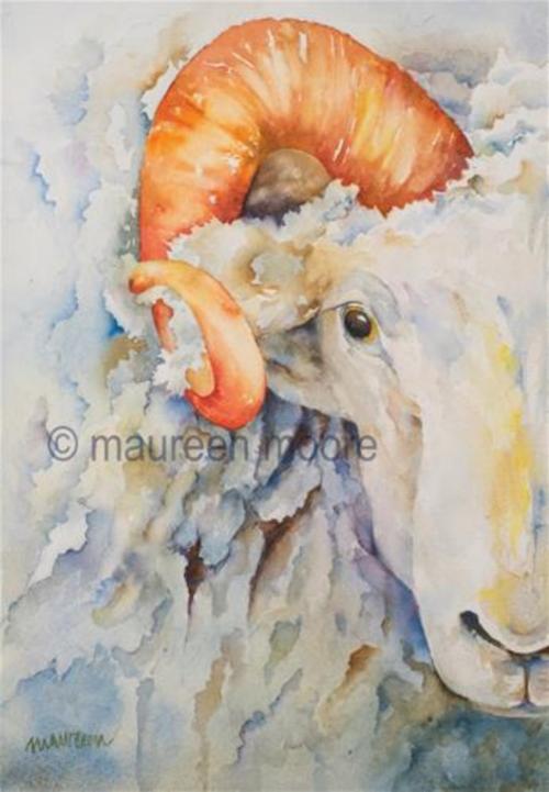 Maureen Moore Big Horn Sheep