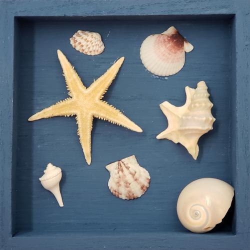 Mary Jo Hauri - Sea Dreams