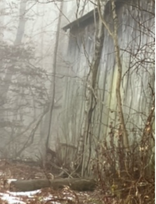 Melanie Philips, Foggy Barn