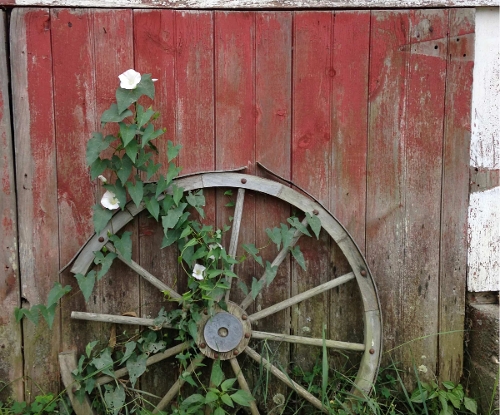 MJ Hauri, Summer Barn