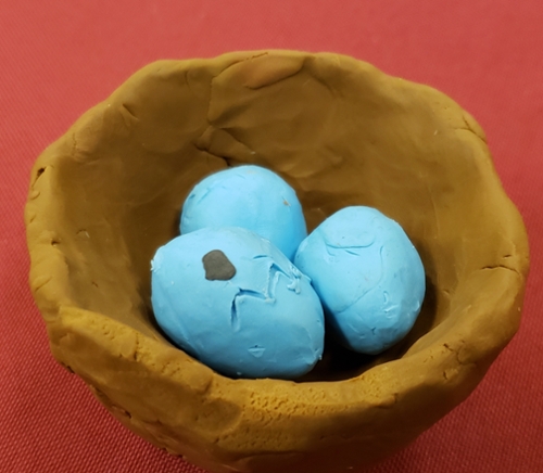 Robin's Eggs